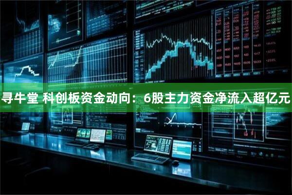 寻牛堂 科创板资金动向:6股主力资金净流入超亿元